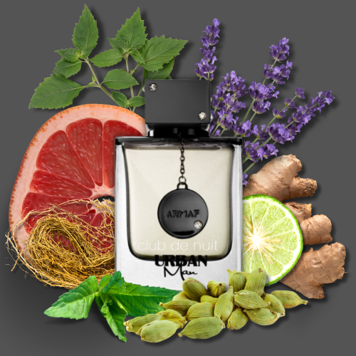 32eac1b61854ba9f763a39400ad232b2