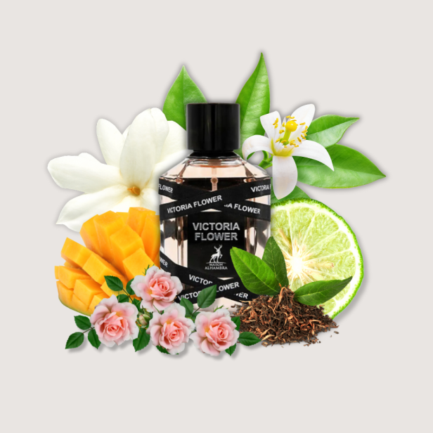 4ddc948e5539ace110e63d5c18dd6097